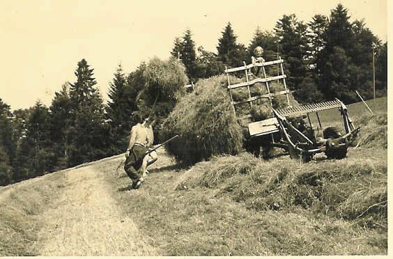 Familie beim Heuet